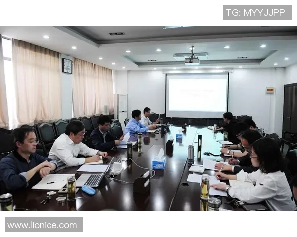 武汉飞盘队个人能力分析与表现评估的全面研究报告 武汉飞盘队个人能力分析与表现评估的全面研究报告